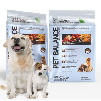 2025 강아지 사료 추천 🐾 건강을 지켜주는 인기 TOP5 비교