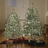 🎄 절대 실패 없는 크리스마스 트리 6가지 선택 가이드!