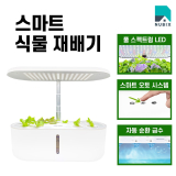 가정용 재배기 추천 🌿 집에서도 초록빛 힐링! 인기 TOP 5 비교